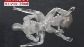 Thumbnail of post image 062